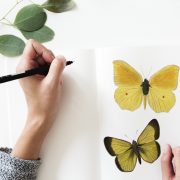 グラフィックデザイナーに必要な欲求力とは？