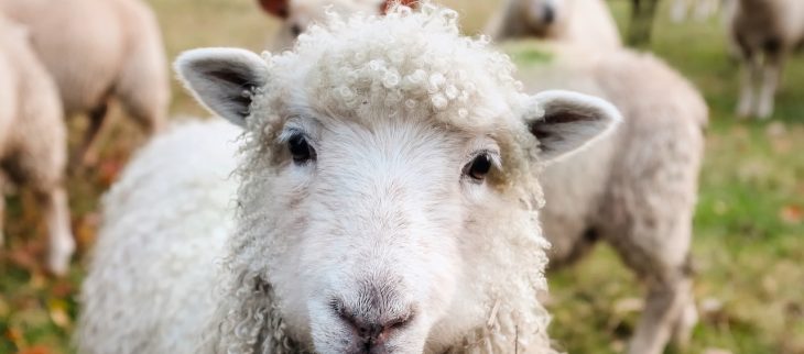 仕事を辞めたいと思っているグラフィックデザイナーへ